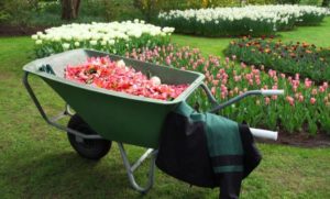 Landscaping Services