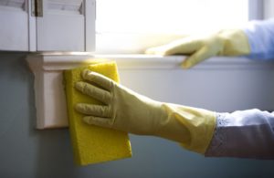 professional cleaners