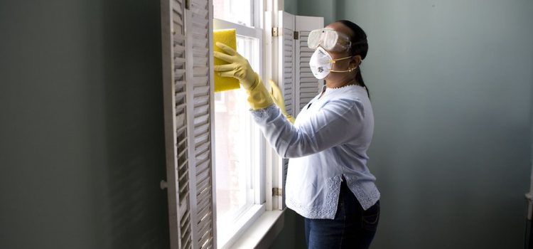 Woman cleaning the window