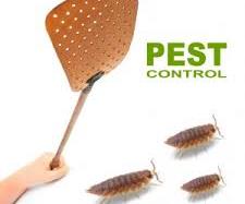 pest control