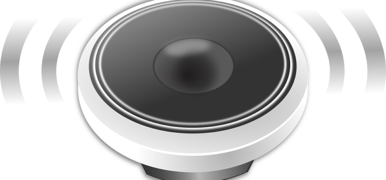 Speaker