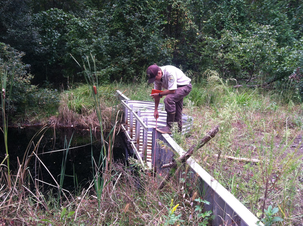 experienced wildlife services